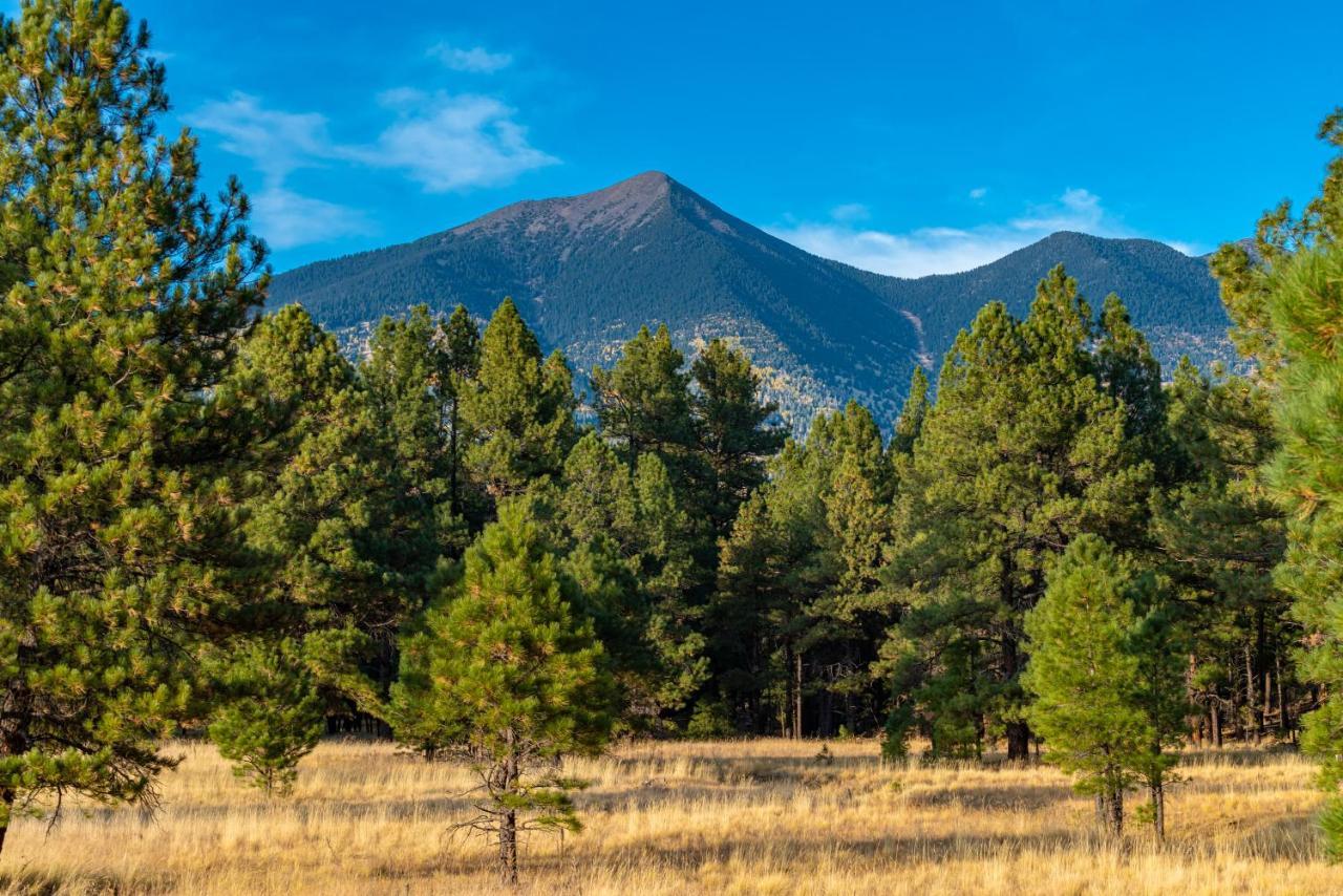 Mt. Elden Adventure Vila Flagstaff Exterior foto