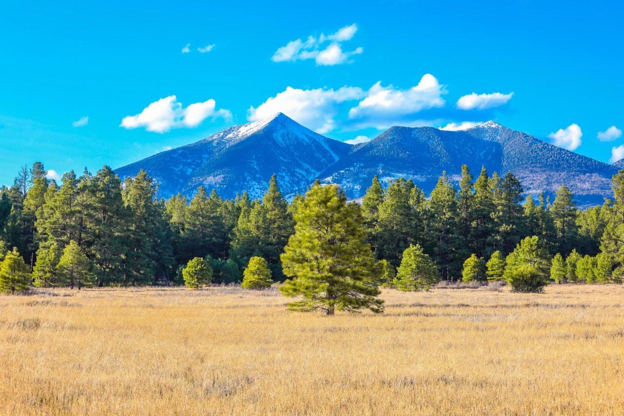 Mt. Elden Adventure Vila Flagstaff Exterior foto